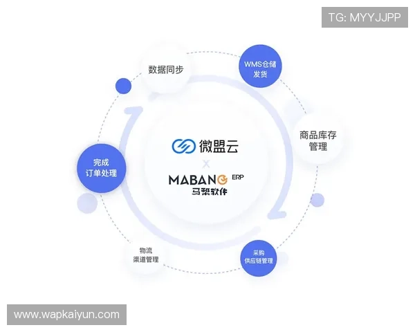开云总站客户服务体系优化与提升策略详解助力品牌持续成长