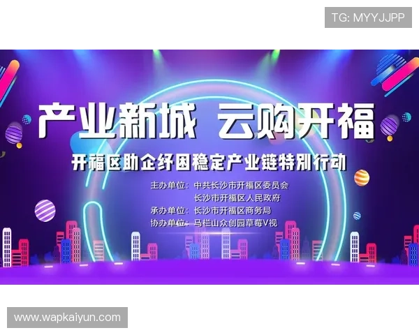 开云电子平台：为中小企业提供定制化电子商务解决方案的优势