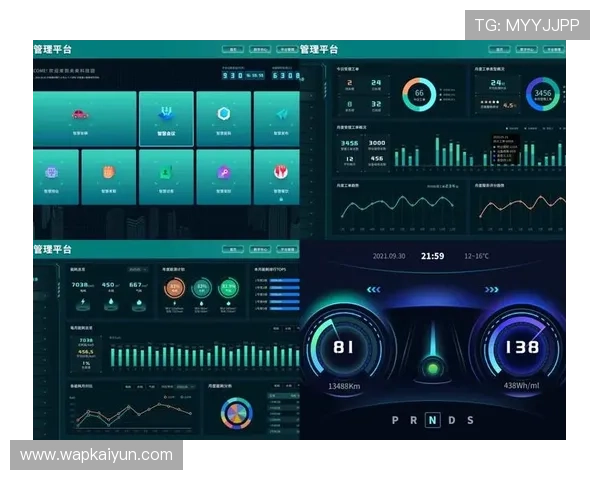 开云电子平台：结合大数据分析实现精准营销与客户关系管理