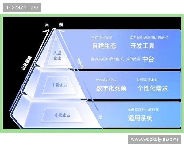 开云网络助力企业数字化转型的关键技术与应用实践