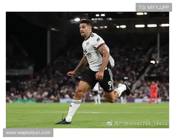 开云足球登录的全面攻略与技巧分享