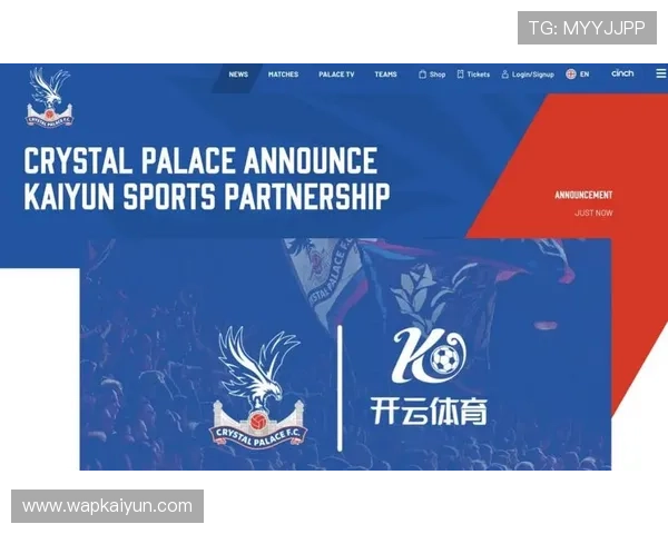 揭秘开云体育网址登录线路的优势，让您不再错过精彩比赛