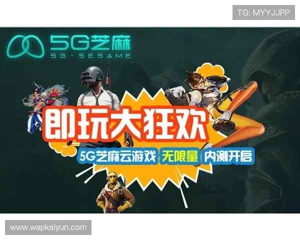 云开体育官网入口网页版安全登录技巧保障账号信息安全畅玩游戏无忧